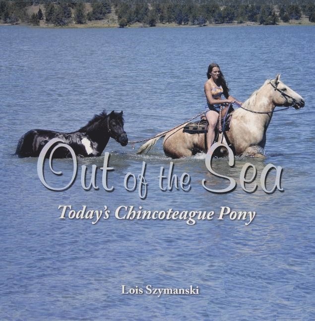 Out of the Sea, Today’s Chincoteague Pony