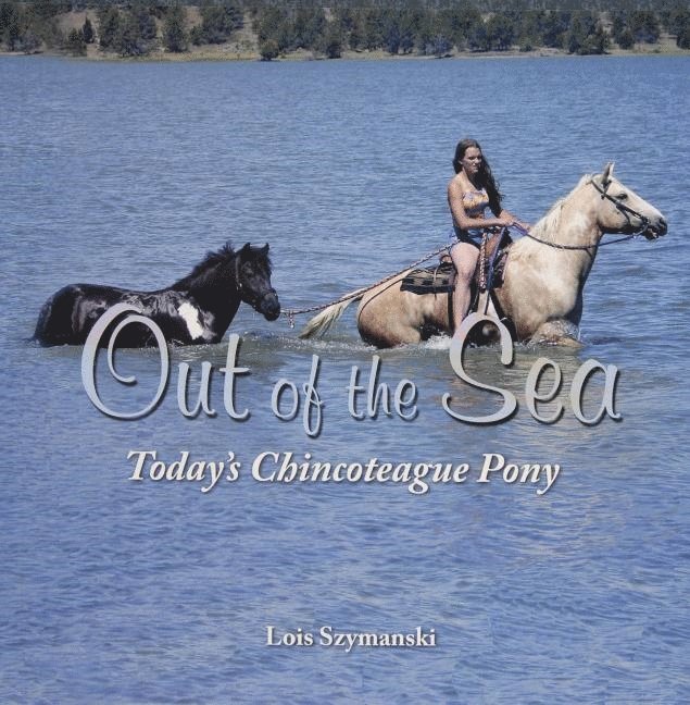 Out of the Sea, Todays Chincoteague Pony 1