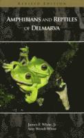 Amphibians and Reptiles of Delmarva