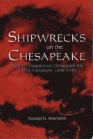 bokomslag Shipwrecks on the Chesapeake