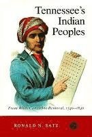 bokomslag Tennessee'S Indian Peoples