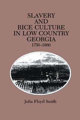 bokomslag Slavery and Rice Culture in Low Country Georgia, 1750-1860