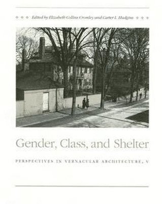 bokomslag Gender Class and Shelter