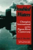 bokomslag Troubled Waters