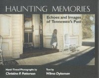 bokomslag Haunting Memories