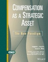 bokomslag Compensation as a Strategic Asset