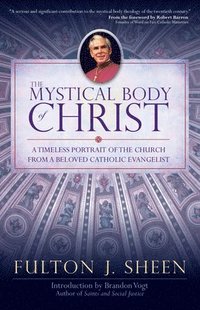 bokomslag Mystical Body of Christ
