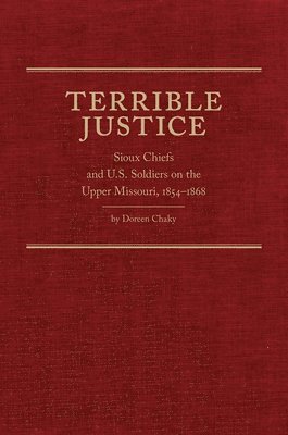 bokomslag Terrible Justice
