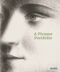 bokomslag A Picasso Portfolio