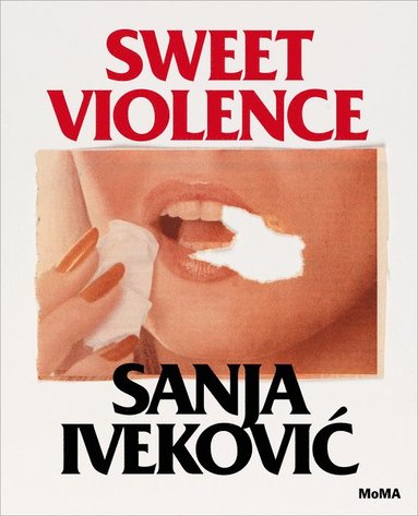 bokomslag Sanja Ivekovi?: Sweet Violence