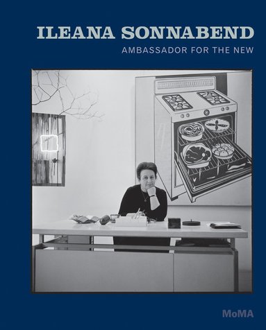 bokomslag Ileana Sonnabend