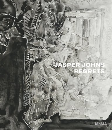 bokomslag Jasper Johns