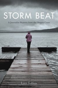 bokomslag Storm Beat