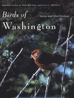 bokomslag Birds of Washington