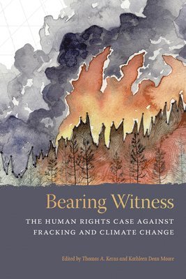 Bearing Witness 1