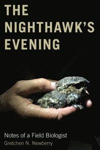 bokomslag The Nighthawk's Evening