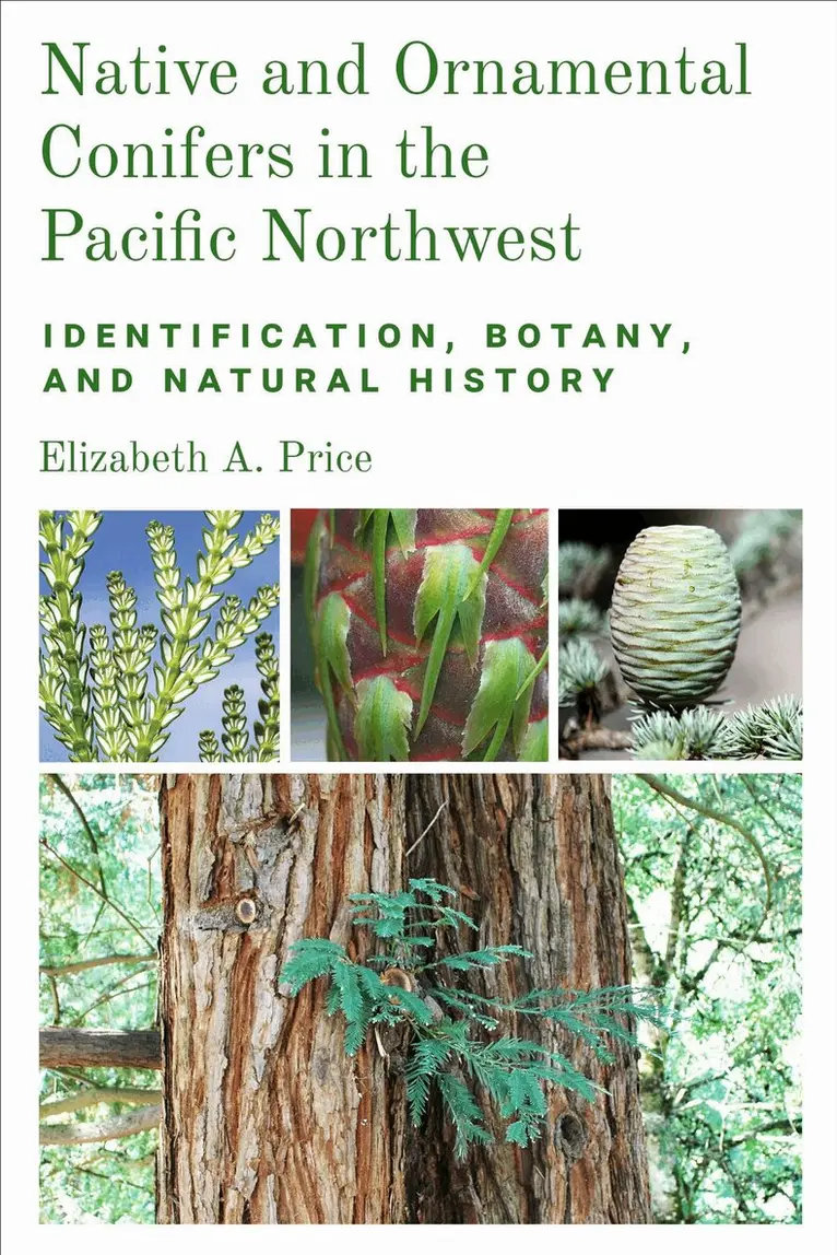 Elizabeth A. Price - Native and Ornamental Conifers in the Pacific Northwest, Häftad. Tillgänglighet: Lägg i varukorg
