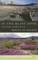 bokomslag In the Blast Zone