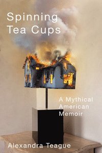 bokomslag Spinning Tea Cups