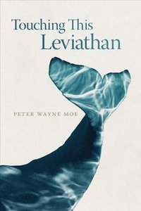 bokomslag Touching This Leviathan
