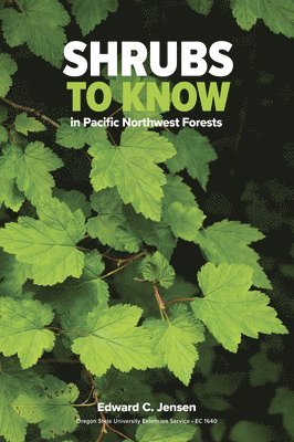 Shrubs to Know in Pacific Northwest Forests 1