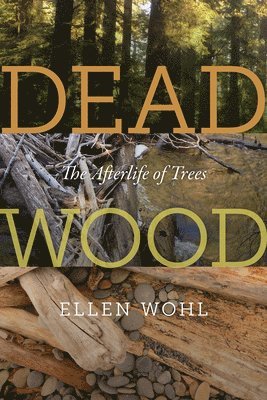 Ellen Wohl - Dead Wood, Häftad