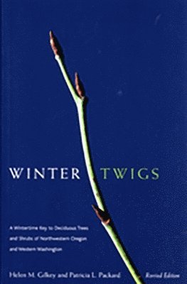 Helen Gilkey - Winter Twigs, Häftad