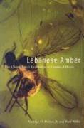 Lebanese Amber 1