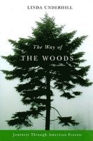 bokomslag Way of the Woods