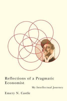 Reflections of a Pragmatic Economist 1