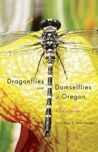bokomslag Dragonflies and Damselflies of Oregon