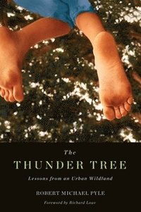 bokomslag Thunder Tree