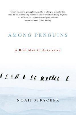 Among Penguins 1