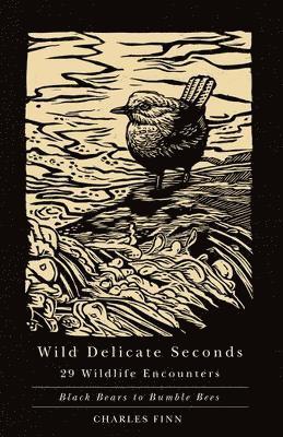 Wild Delicate Seconds