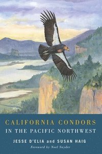 bokomslag California Condors in the Pacific Northwest