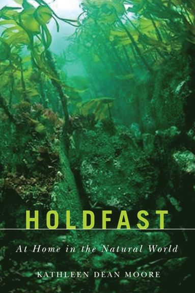 bokomslag Holdfast