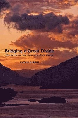 Bridging a Great Divide 1