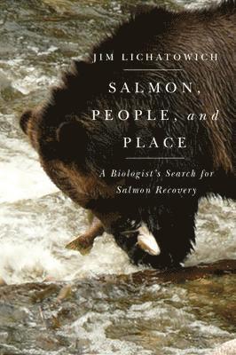 bokomslag Salmon, People, and Place