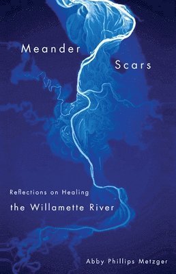 Abby Phillips Metzger - Meander Scars, Häftad