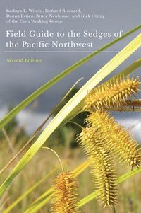 bokomslag Field Guide to the Sedges of the Pacific Northwest