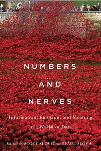 bokomslag Numbers and Nerves