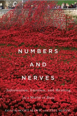 Numbers and Nerves 1