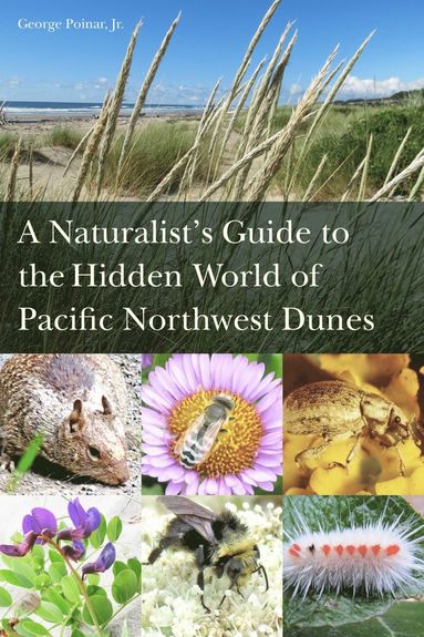 bokomslag Naturalist's Guide to the Hidden World of Pacific Northwest Dunes