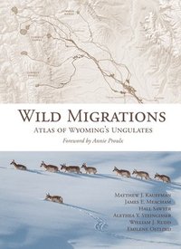 bokomslag Wild Migrations