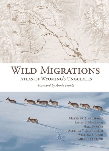 Matthew J. Kauffman, James E. Meacham, Hall Sawyer, Alethea Y. Steingisser, William J. Rudd, Emilene Ostlind - Wild Migrations, Inbunden