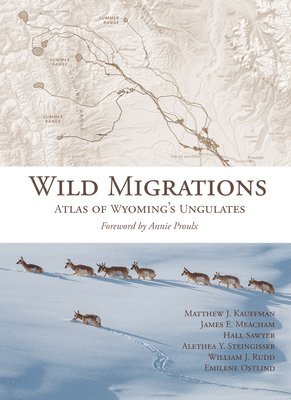 Wild Migrations 1