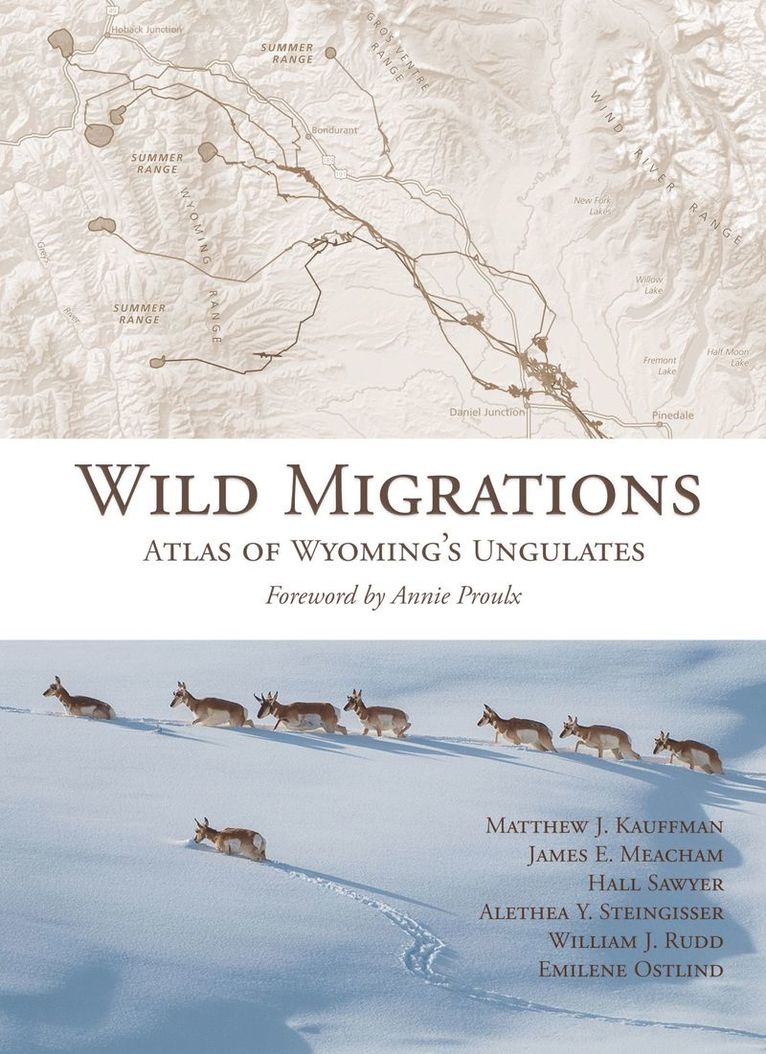 Matthew J. Kauffman, James E. Meacham, Hall Sawyer, Alethea Y. Steingisser, William J. Rudd, Emilene Ostlind - Wild Migrations, Inbunden