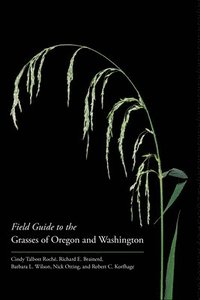 bokomslag Field Guide to the Grasses of Oregon and Washington