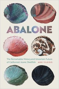 bokomslag Abalone