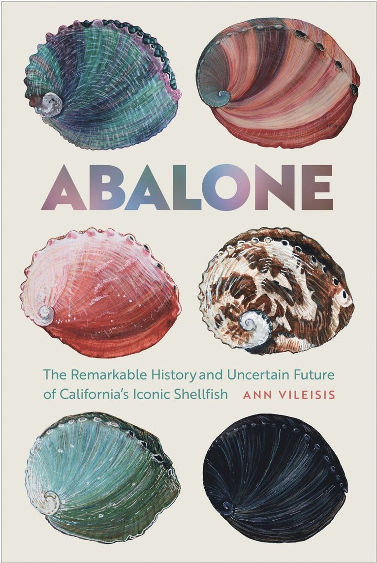 Abalone